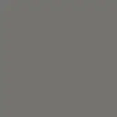 Cool gray color field, matte charcoal tone, uniform surface with subtle tonal variations and a plain, featureless background.